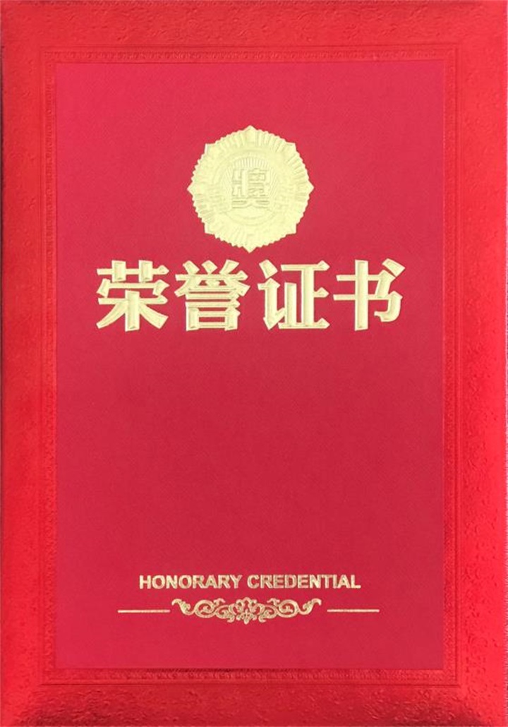 辽宁报业集团杨新军主任、辽宁省辽商促进会阎秘书长，亲自到百年董氏公司指导工作并为公司董事长董增军先生颁发荣誉证书 